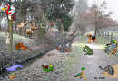 Bild (Thumbnail)